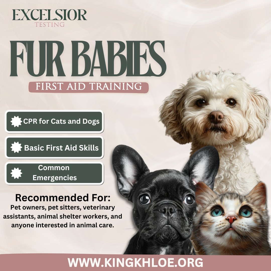 Fur Babies First Aid Training